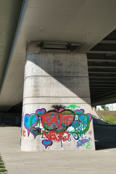 Linz Rail Bridge