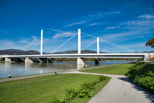 VÖEST Bypass Bridges 