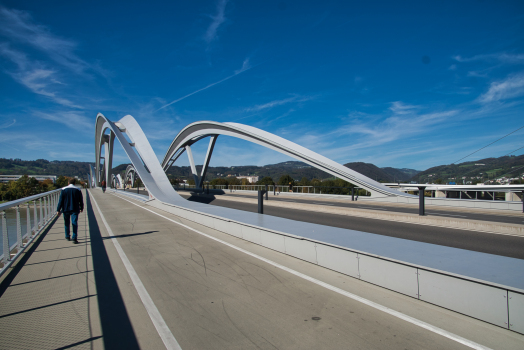 Pont ferroviaire de Linz 