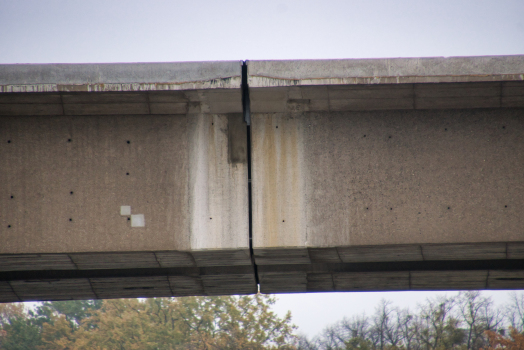 Pont Carola après l'éffondrement partiel et la démolition des parties sur les rives