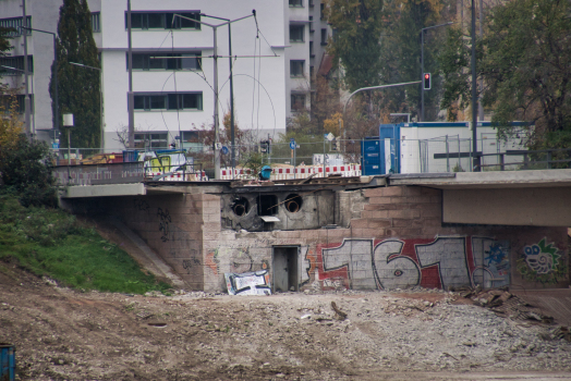 Carola Bridge after the partial collapse and after demolition of the parts on either shore