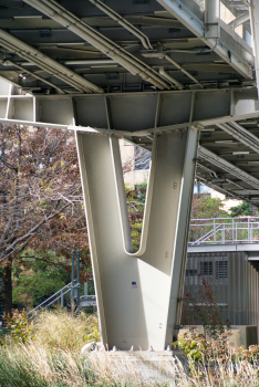 Robert R. Douglass Bridge