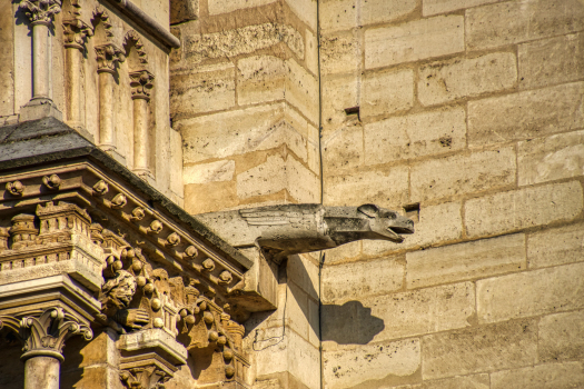 Cathédrale Notre-Dame de Paris