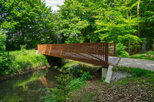 Petite passerelle sur la Dalke