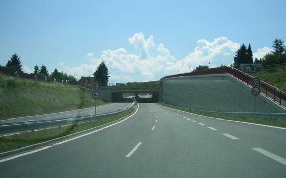 Tunnelportal aus Richtung Elbe