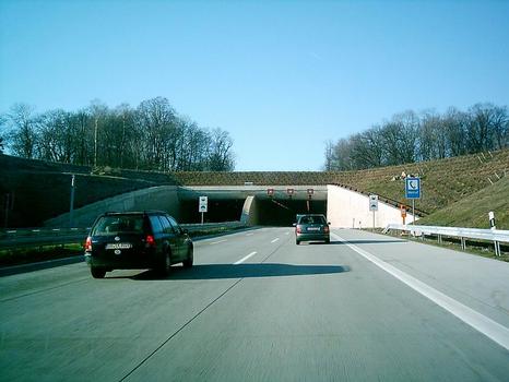 Tunnel Altfranken, Einfahrt Ost