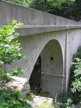 Bruno Bridge, Saint-Laurent-du-Pont
