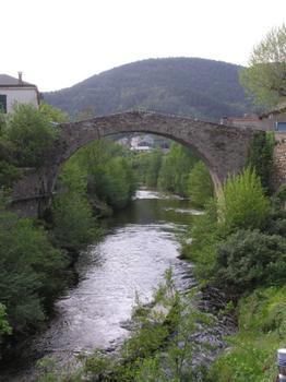 Pont Vieux (pont-route), Saint-Jean-du-Bruel, Aveyron
