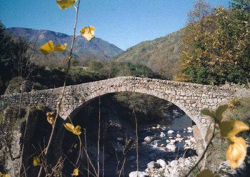 Pont du Petit Travers, Mayres
