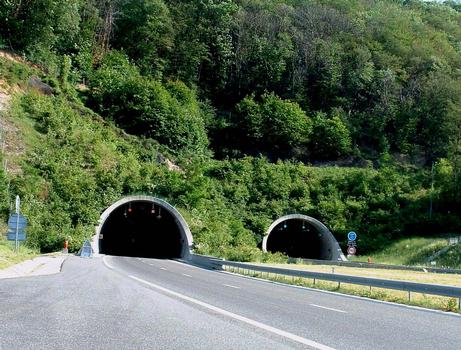 Autoroute A51Petit Brion Tunnel