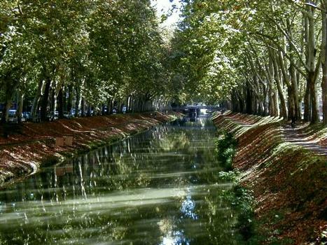 Canal de Brienne, Toulouse