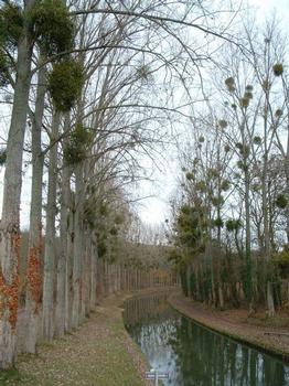 Canal de l'Ourcq à Varreddes