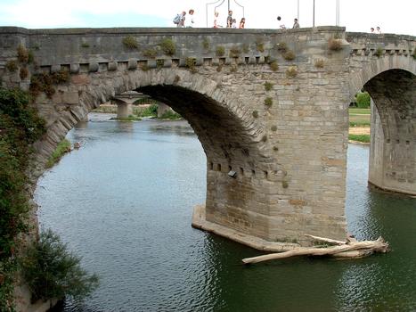 Pont Vieux, CarcassonneUne travée vue de l'amont