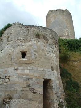 Châtillon-sur-Indre - Château - Le donjon et une tour de l'enceinte