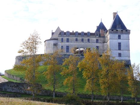 Burg Biron