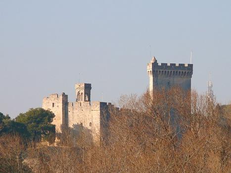 Château de Beaucaire vu du château de Tarascon
