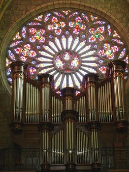 Clermont-l'Hérault - Eglise Saint-Paul - Nef - Rose occidentale et orgue