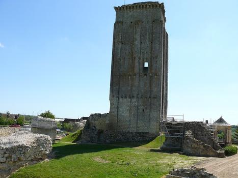 Château du Grand-Pressigny - Le donjon du 12 ème siècle et les restes des murs et des tours de la chemise qui le protégeait au 13 ème siècle