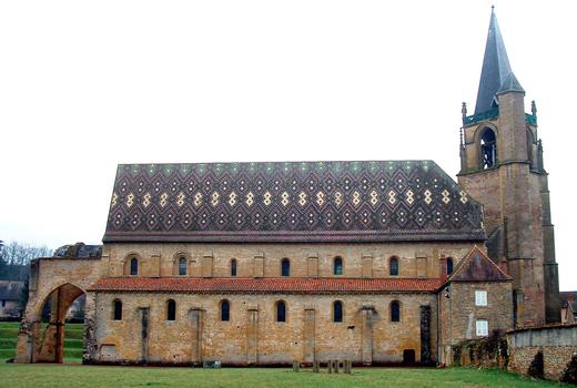 Abbaye de La Bénisson-Dieu - Ensemble côté Nord