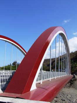 Saint-Leu - Pont sur la ravine de la FontaineBow string avec poutres métalliques de portée de 47,65m, de longueur totale de 49,15 m hors tout et de largeur de 16,60 m hors tout