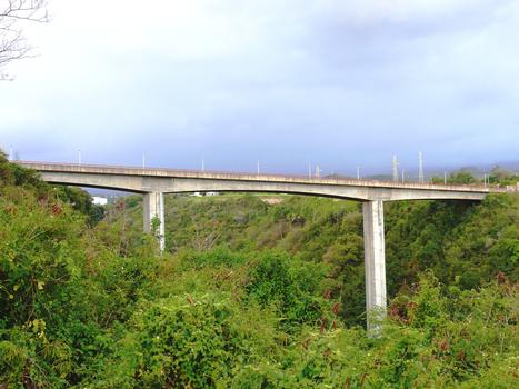 Saint-Pierre - Abord river bridge of the northern bypass (RN 2)