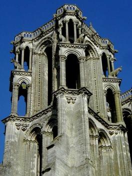 Notre-Dame de Laon.Tour sud-ouest - boeufs