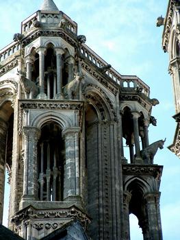 Cathédrale de LaonLes boeufs dans les tours occidentales