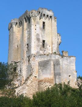 Château de Lavardin - Le donjon et le chemise du donjon