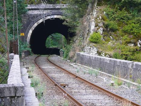 Ligne des Causses - Le viaduc du Lot et le tunnel de Pontillac