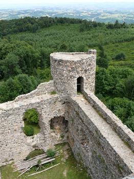 Champoly - Château d'Urfé - Tour est vue du donjon