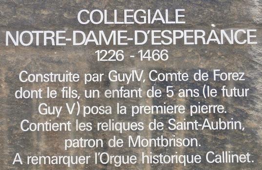 Collégiale Notre-Dame-d'Espérance