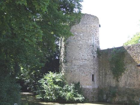 Stadtmauern von Châtillon-Coligny