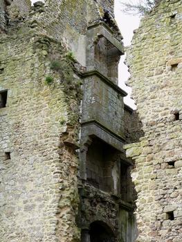 Lassay-les-Châteaux - Château de Bois-Thibault - Les les cheminées dans le logis construit par Louis de Bellay