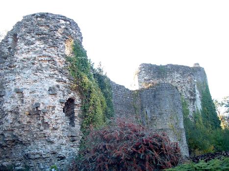 Prény - Château-fort - Les remparts avec les tours du donjon et la tour Mandeguerre