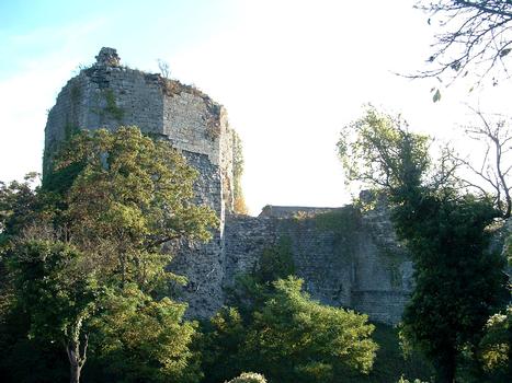 Prény - Château-fort - Tour Mandeguerre, les remparts et les tours du donjon