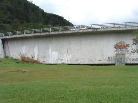 Pont de la rivière de l'Est (1979), La Réunion
