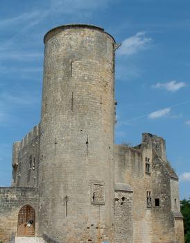 Rauzan - Château - Vu du côté Sud - Donjon et entrée du château