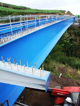 Route des Tamarins - Pont de la ravine de la Saline (OA100) - La charpente métallique du pont côté mer après lancement