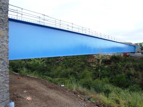 Route des Tamarins - Pont de la ravine de la Saline (OA100) - La charpente métallique du pont côté mer après lancement