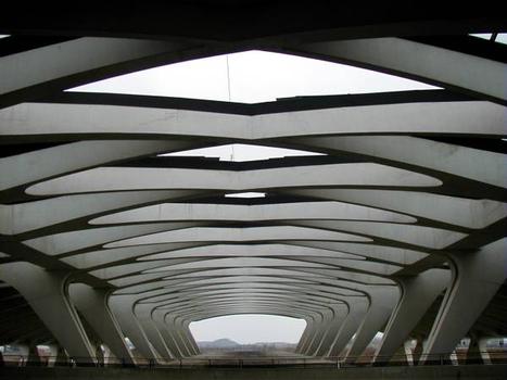 Aéroport Saint-Exupéry, Lyon.TGV Station