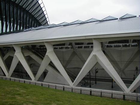 Aéroport Saint-Exupéry, Lyon – TGV-Bahnhof