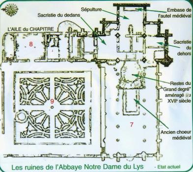 Dammemarie-les-Lys - Ancienne abbaye du Lys - Plan des vestiges