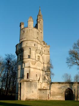 Septmonts - Château des évêques de Soissons - Donjon