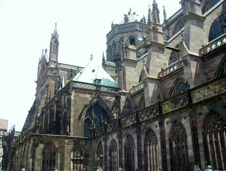 Cathédrale Notre-Dame de Strasbourg.Nef et bras gauche du transept