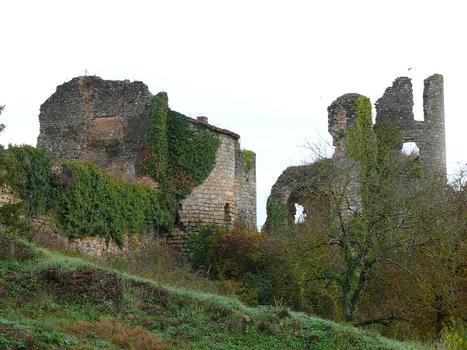Château-Larcher Castle