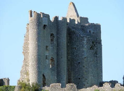 Château d'Angles-sur-l'Anglin