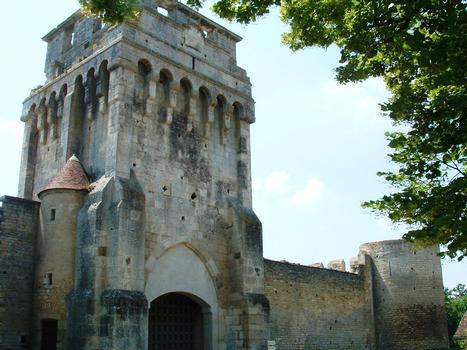 Druyes-les-Belles-Fontaines - Château