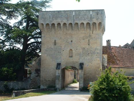Druyes-les-Belles-Fontaines - Château