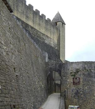 Le château de Beynac (commune de Beynac et Cazenac)