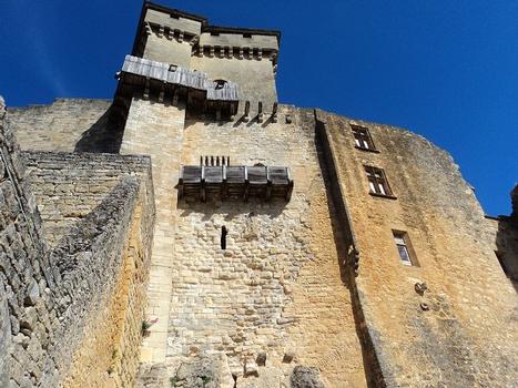 Le château de Castelnaud domine le village et la vallée de la Dordogne